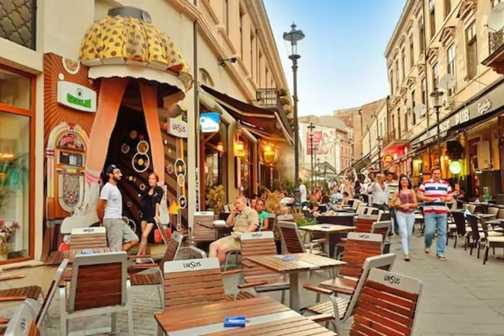 Cozy & Comfortable Apartment, Cismigiu Park - Pop7 Bucureşti 0*,